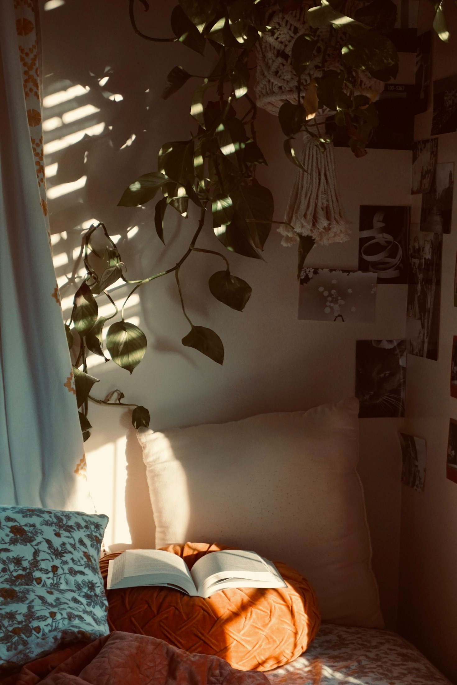 The Sacred Intersection of Emotional Healing and Spiritual Growth
